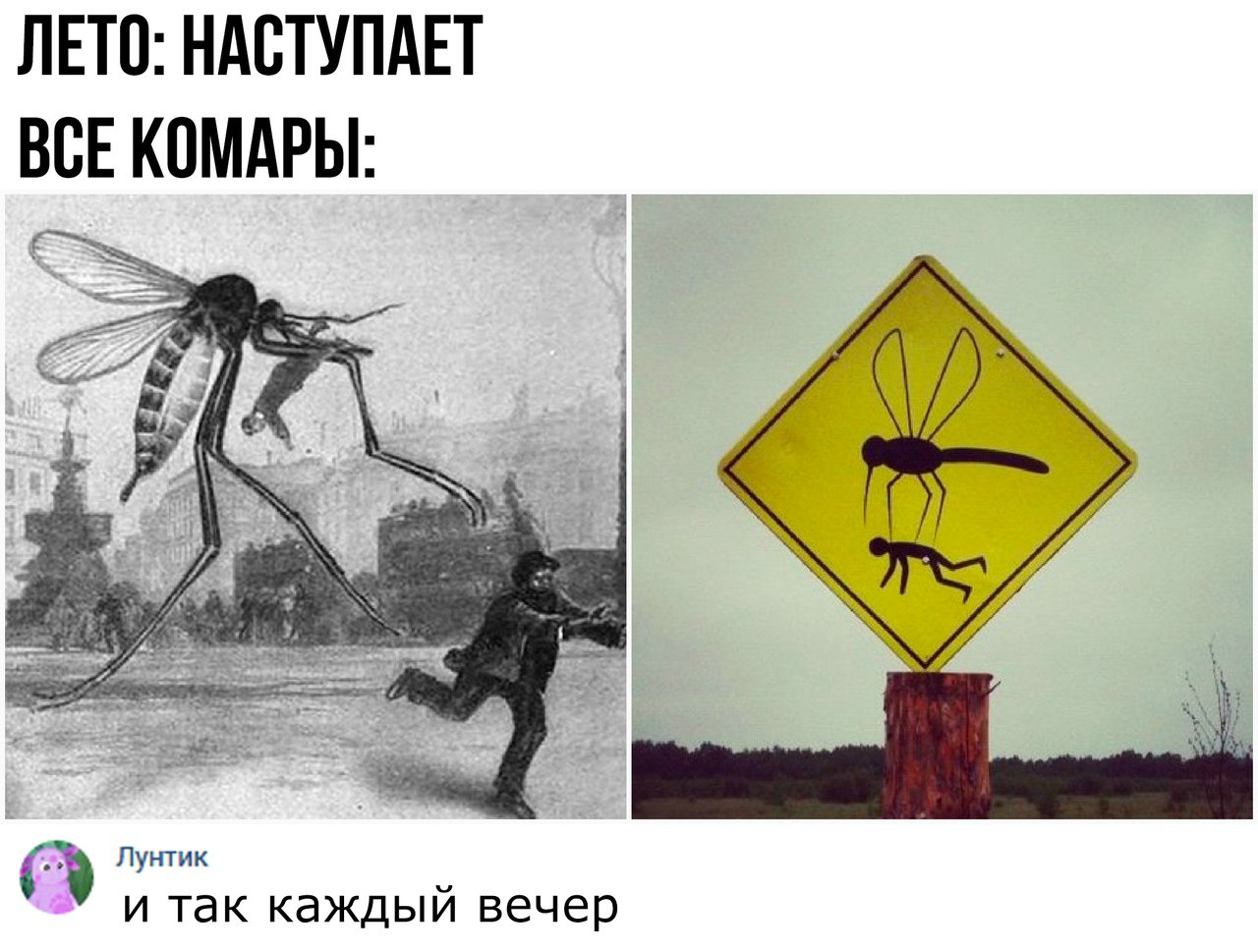 Осторожно комары