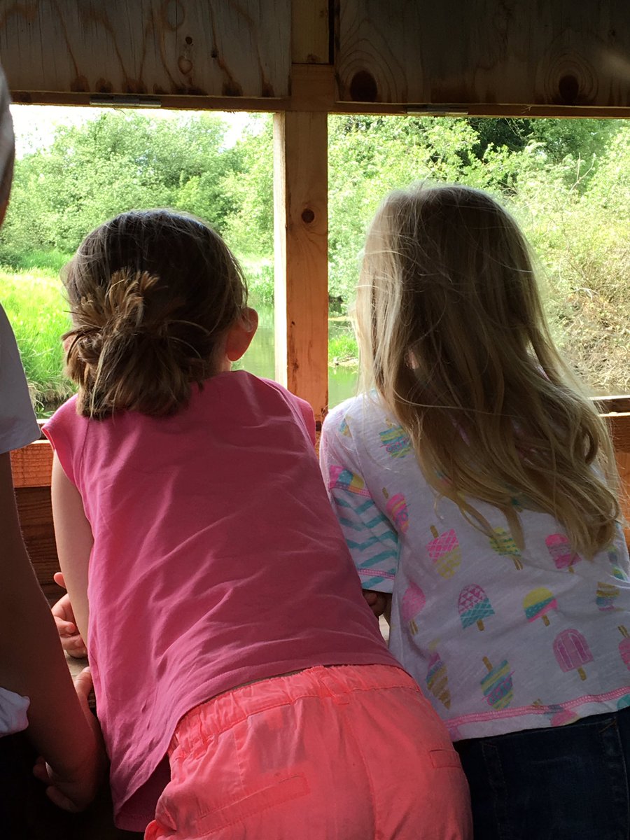 Dr Jess French tweet media