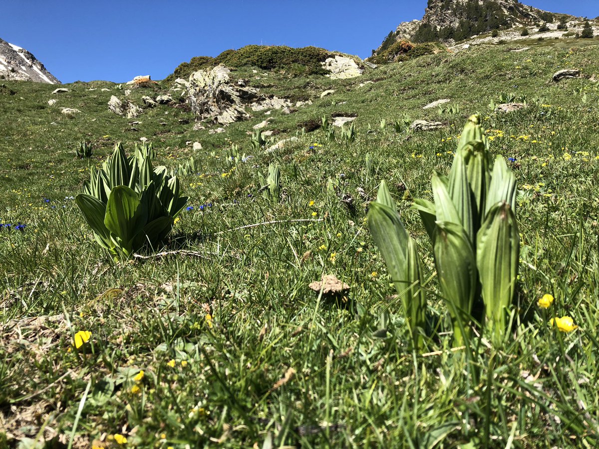 vagramuntflix's tweet image. En un mes empieza el viaje. @seldor #AnalyticsNext journey.
Estaros atentos, no os arrepentireis!