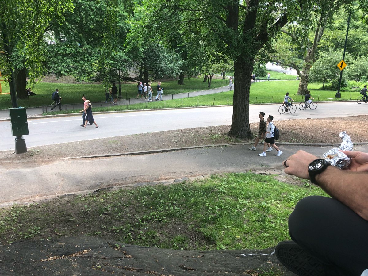 StephaniaNavas's tweet photo. Improvised picnic @ Central Park https://t.co/T8eTmExCbU