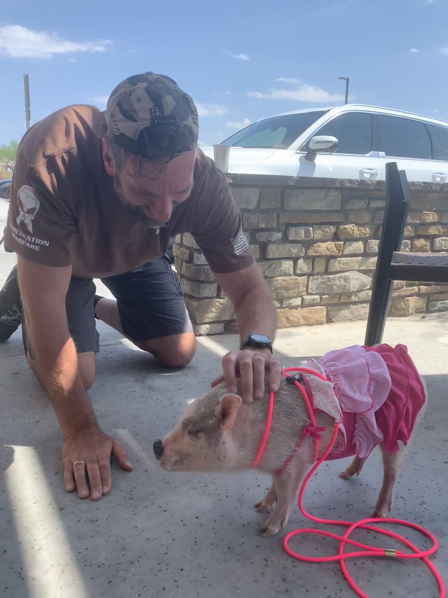 7foot2doc's tweet photo. Met #misspiggy today. https://t.co/MIvOTdI9yM