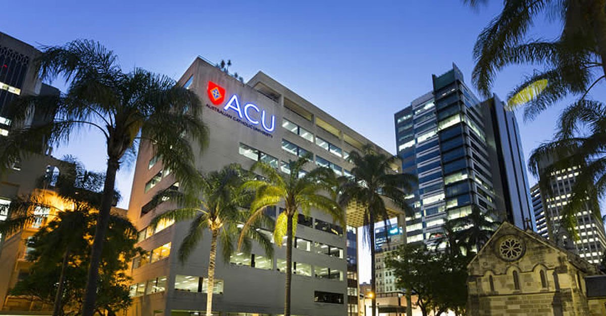 Cohesity tweet media