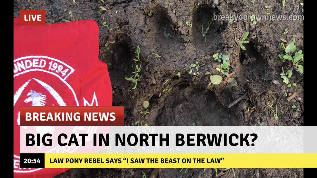 NBColts's tweet photo. Breaking news tonight in North Berwick..... #announcement #nextlevel #loveofthegame #pressconference https://t.co/mF97OFrGzy