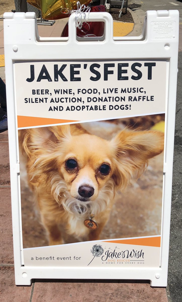 Rene95037's tweet photo. Supporting a great cause downtown along 4th Street: Jake’s Fest 2019!
Come on out!
#morganhill #dogrescue #jakesfest #springforcouncil https://t.co/l4ZSMoXYH4