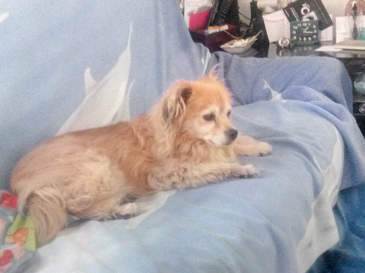 Leman_Navarre's tweet photo. @BilbaoSoto Leo,el Rey Leon XD https://t.co/p2tNgHxyt9