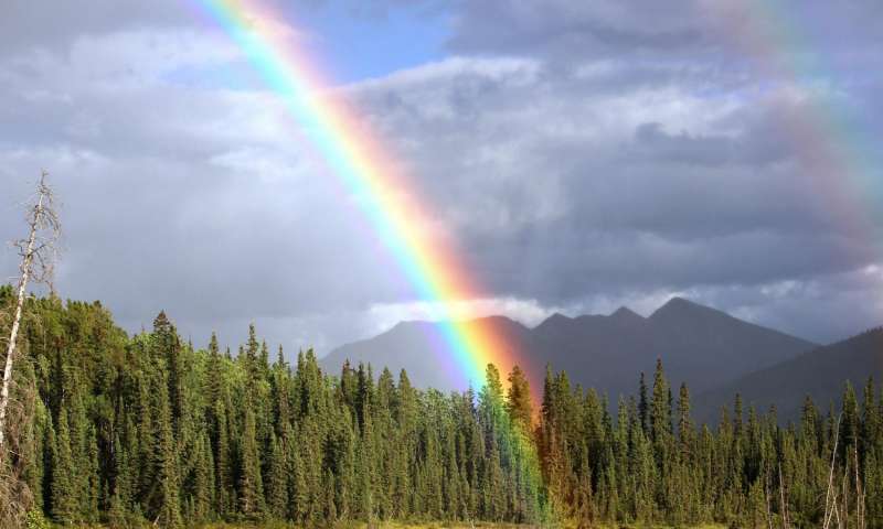 BloodsworthBog's tweet photo. Happy #PrideMonth everyone! I'm proud of all of you for being you! You are all as real and naturally-occurring as rainbows ❤️ #pride #rainbow #loveislove #peoplearepeople #youarevalid https://t.co/h922YTrg4T