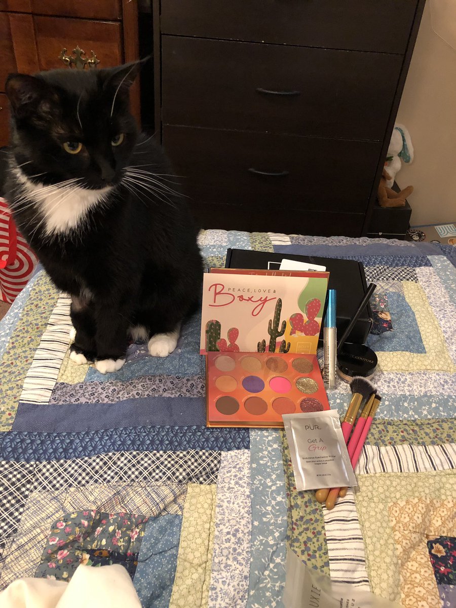 PureKaos26's tweet photo. #BoxyChat #BoxyPets #BoxyCharm 
This little mini LOVES makeup almost as much as I do!! https://t.co/Io3Y9o1Qid