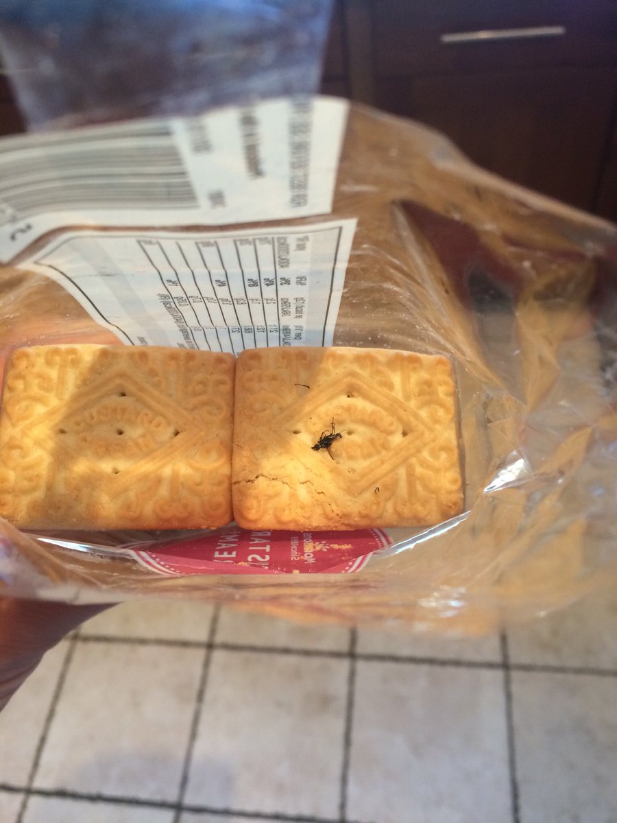SirSmudge07's tweet photo. @Morrisons thanks for the extras! #fly #Morrisons #sick #gross #protein https://t.co/M1xM3wlDM6