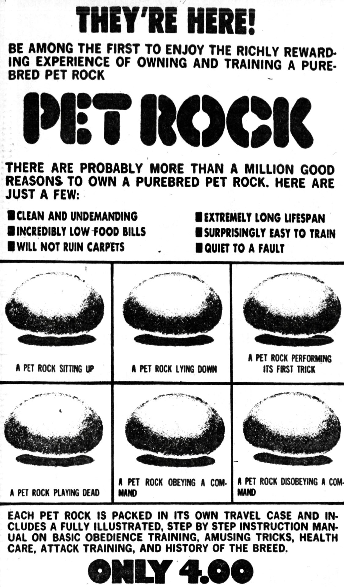 gary dahl pet rock