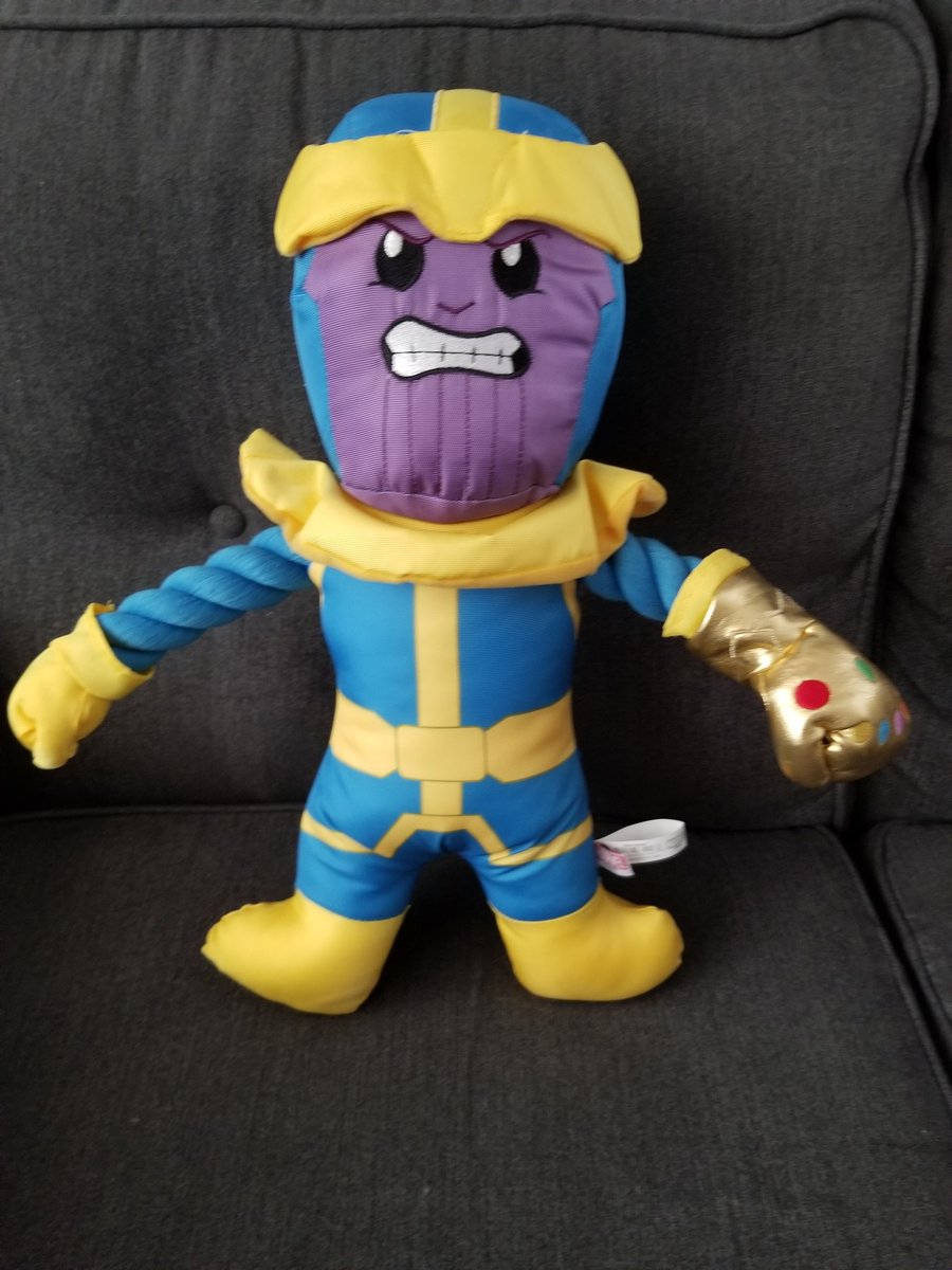 QuietSpider22's tweet photo. In preparation for our new pup, I got this to train her to help protect the universe. #marvellife https://t.co/cNbgThTe73