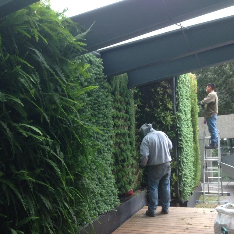 GeneraciónVerde tweet media