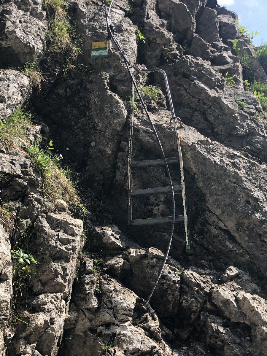 miiiep123 tweet media