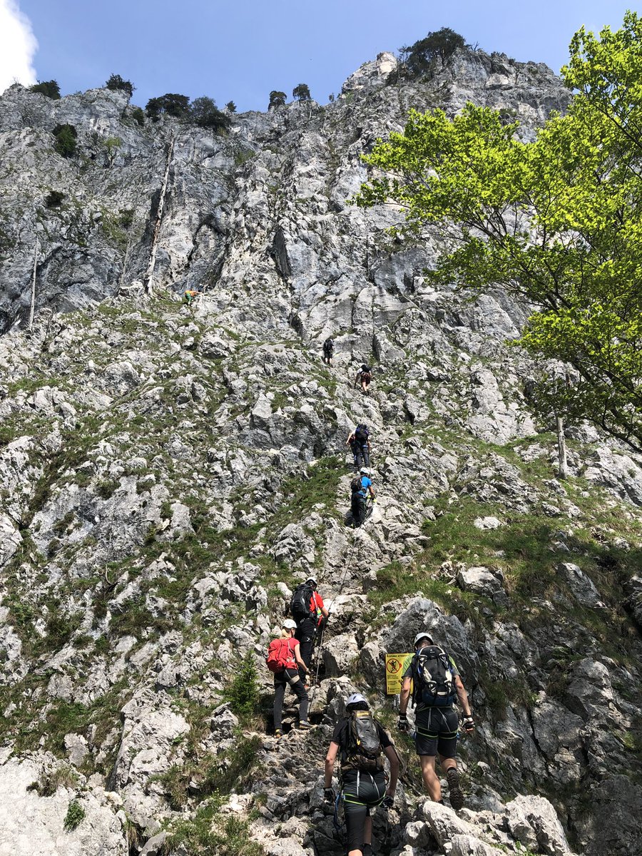 miiiep123 tweet media