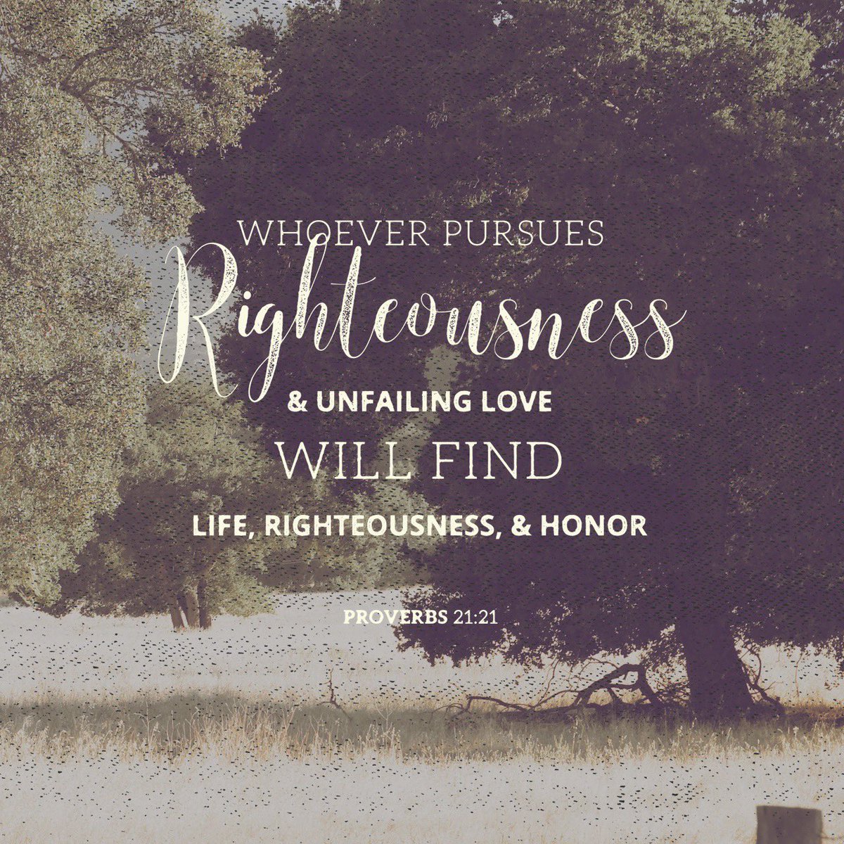 TailorMade_KC's tweet photo. #proverbs2121 #sendlove 💌 it’s hard sometimes but I believe in you #dotherightthing 🥰 #life #righteoussness #honor 🙏🏾 https://t.co/m0OnpqIvR5