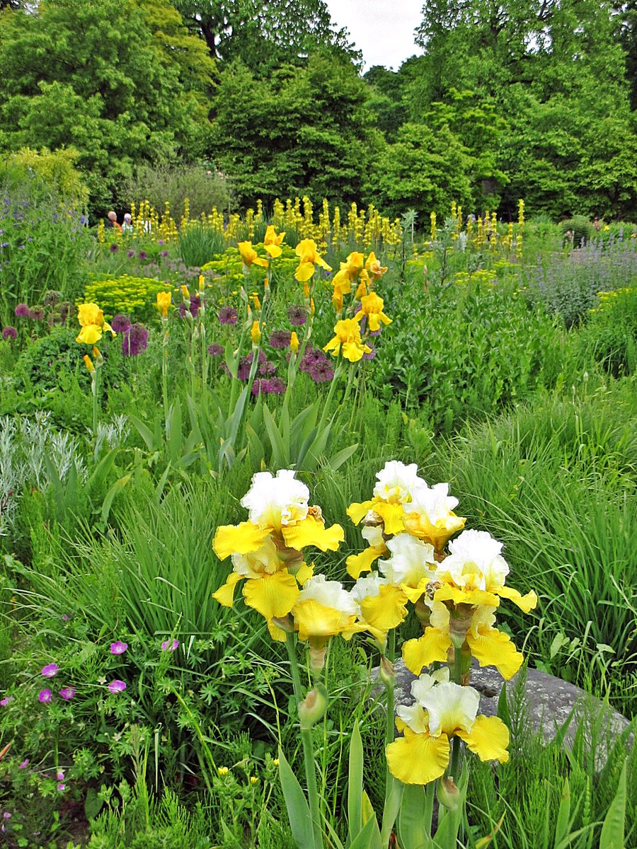 Carola Christina (@carofit40) on Twitter photo 