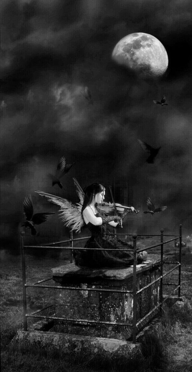 Angelou45328491's tweet photo. @DarkQueenKeora @DeannGoss @Dzsozi22 @1carolinagirl @CristianASegui1 @fuckedchic @BlankPetra @RattleDemBonez @BeccaTimps1639 @tamsyn_t @cristob45 @VixenVegas @LadyBlackTear @HWolson @LuisLuiskiss1 @s4mmi3x @WitchezGarden @PinupStickers @raquel_crypt @RaiderXman @digaoapboauniao @leahisdarkness @tiziana_tynihal @rosethatsme1 @MahFn28 @FreedomMila @grants4usa @goodenough_fu Thanks Monniccah♥😇
#AngelSunday
#SweetDarkness 🖤 https://t.co/v5iBP9F7Qs