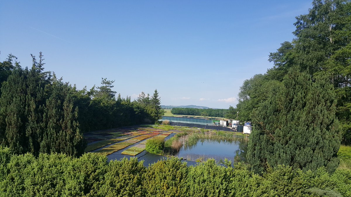 BylinySwierk's tweet photo. Zakątek z ukorzenionymi sadzonkami oczekującymi na wysadzenie do doniczek. #Szkółka #bylin #Dobromierz #POLSKA https://t.co/4j5e6gWs3h