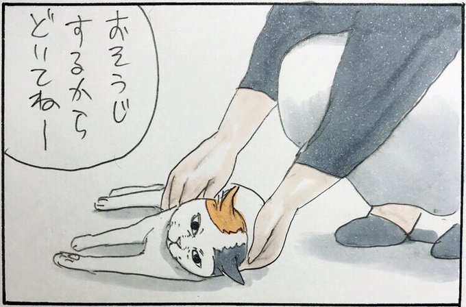 『入ってる?』 