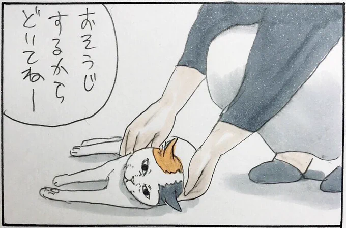 『入ってる?』 