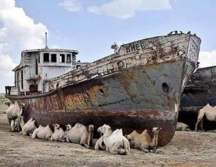 elbadrei's tweet photo. سفينة البحر جفّت فانتظرت 
سفينة البرّ تأتيها تواسيها ..

مثل الأنام إذا حلّت مصائبها 
حضن المواساة ينسيها مآسيها .. https://t.co/jjiUEh6nO1