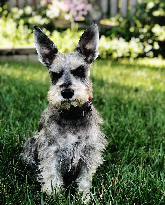 Jennifer tweet media