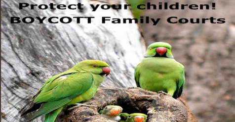 BoycottFamilyLw's tweet photo. Starve the BEAST! Boycott #FamilyCourts where Lawyers Judges Report-Writers Profit from your Misery  Join groups and organisations fighting this unlawful unconstitutional organisation that is set up to profit from the breakup of families
https://t.co/EFSSGUv6oC…/u/24629080… https://t.co/VewKW0b5gj