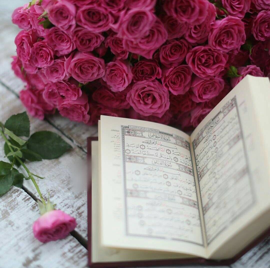 chazhar121's tweet photo. #السلام_عليكم 
#سحری_بخیر 
🌷اپنے دن کی ابتداء تین چیزوں کے ساتھ کیجئے
👈کوشش، سچ، یقین 
👈کوشش: بہترین دن کیلئے
👈سچائی: اپنے کام کے ساتھ
👈یقین: اللّٰـــہ کی ذات پر
اللہ پاک سے دعا ھے کہ سورج نکلنے سے ڈھلنے تک آپ کے ہر لمحے کو خوشیوں سے بھر دے
🌻 آمین ثم آمین 🌻 
#AzR 🇵🇰 https://t.co/yxASa1R294