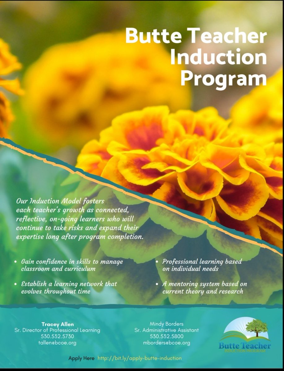 Tracey Allen tweet media