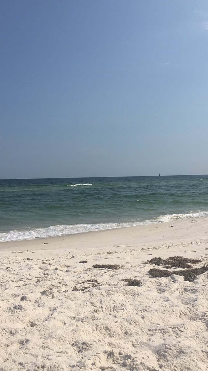 Shinertrip's tweet image. Relaxing