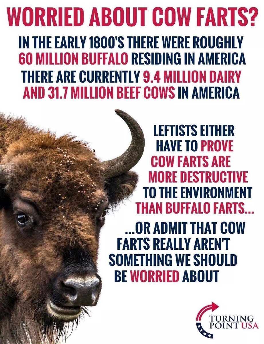 jewls2245_gemma's tweet photo. @WattzzD @Colt45automag @freedom_gal @TjReasonz @_Fat_Nixon @8BrianVogel4 @herc4evr @PPPTCE @seniorveteran @waltermiller506 @Z1Space @DrummondJeff @CodyMacck @Larryputt @DennisH59386592 @frankieBll @chowskej @winwithTrump45 @CleDonnelly @ThelmaB06893137 @CarlBotha2 @LucyForLiberty @spiralwrap @McginnKeven @LegendaryPask @voteCrosby @someotherperso3 @tjkturner @sunflowermoon14 @KeecoWang5 @Michael36213243 @PaulBochamp @W_T_F_smh @GeraldCraig2 @lockrousseau @AceBurford @marchmatron @CraigChermside @J_Allen_CA @RonMahan1 @FrankDoolin @Queen0fcups @realTexasSlim @KarmaTrumps @MommaBernice @Daphene23058240 @kat_maga @CMK_E6 @HruskaW @TeamBlitzen Yeh you know that reminds me. In regard to the environment. Sure, oil spilling in the ocean is harmful but not more than the 16 years of A-Bomb testing in the 50s &amp; 60s.  There are entire cities that are so radiated even today that they will remain uninhabitable for centuries. https://t.co/HE0eulIfo1