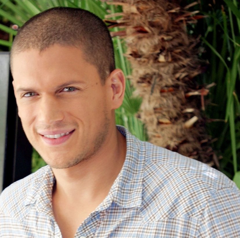 Happy birthday to this fellow gay light bright bae Wentworth Miller!  