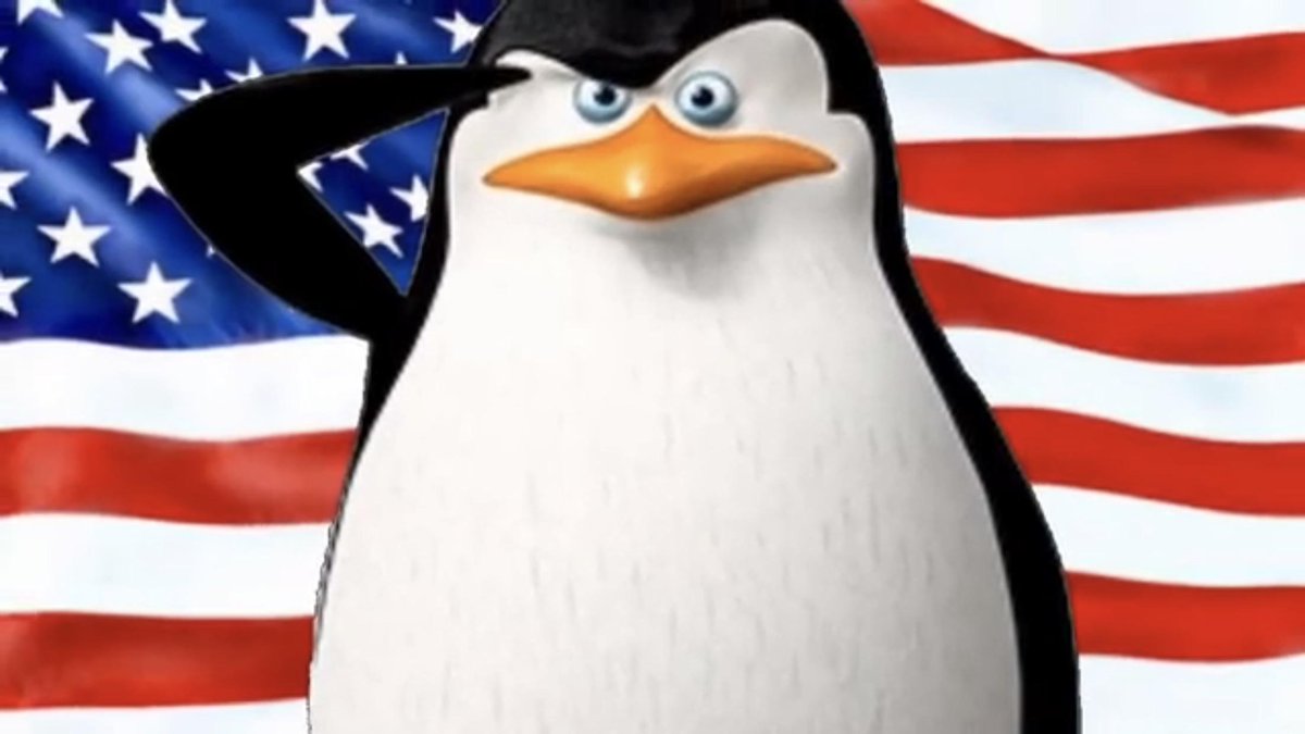 Groverposting tweet media