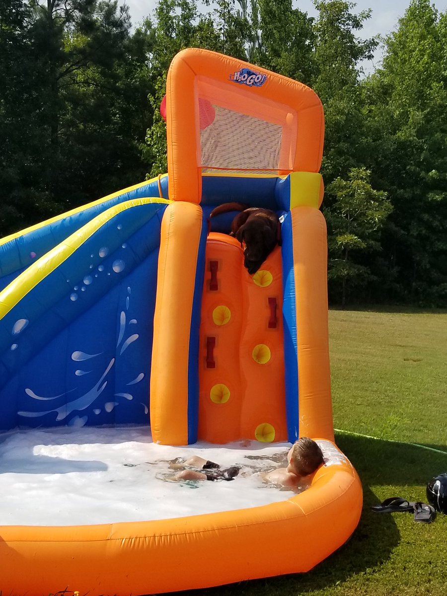 kjayefishing's tweet photo. Devin and Ranger are enjoying the water slide in this hot Sunday! https://t.co/ZODt1vYGig