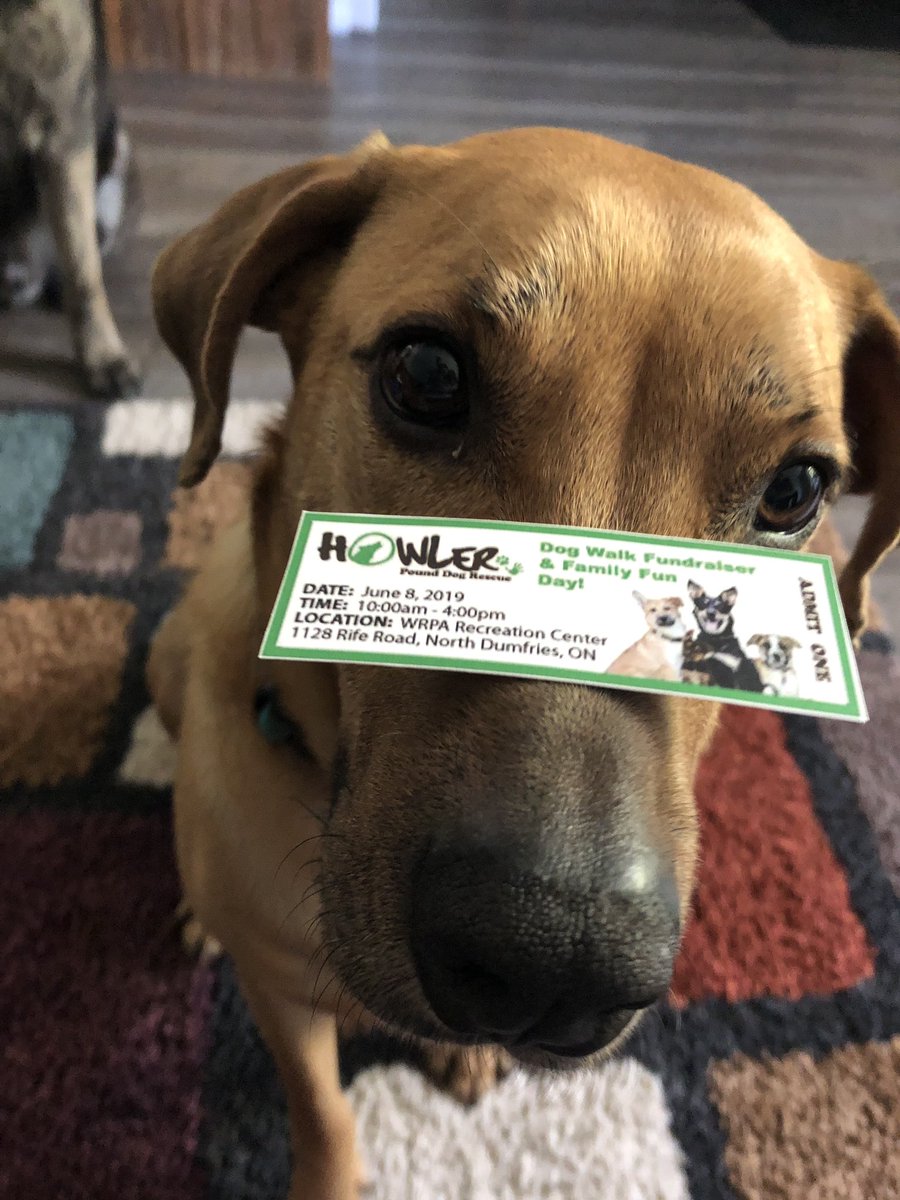 PDRhowler's tweet photo. Congrats to Shell Leigh! You won yourself a 4 pass to the #howler Next weekend! We will be in touch for details! https://t.co/tc4WLZvTsi