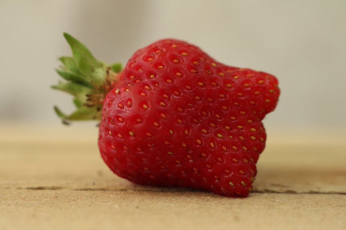 Alumnus chef Matt Broeze is cooking a 5 course $55 feast this Tuesday at Russet! Join us for the feast.