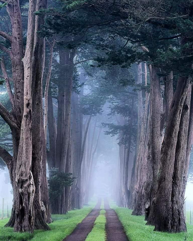 .

불가에서는

머리카락을 무명초無明草라 부르며 세속적 욕망의 상징물로 본다

무명은 모든 번뇌의 근원으로 잘못된 의견이나 집착 때문에 진리를 깨닫지 못한 마음 상태를 말한다

그러므로 출가시 수행자는 삭발을 한다

삭발은 단순히 머리카락

.
m.facebook.com/story.php?stor…

그대! 덕분입니다 
.