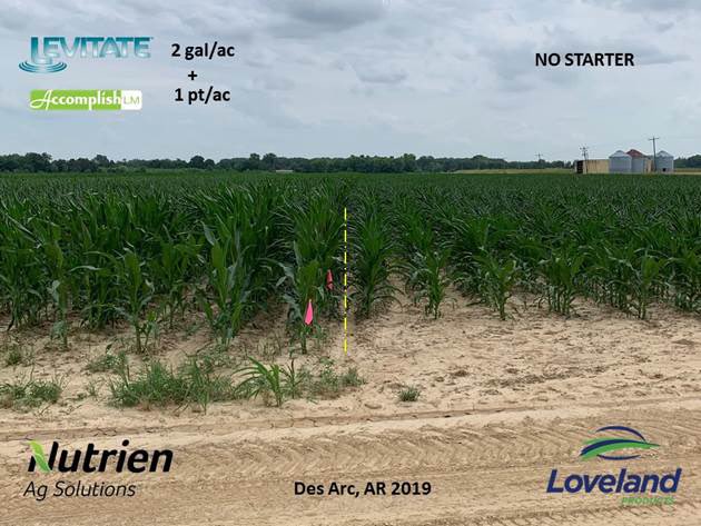 NutrienMidSouth's tweet photo. Corn on the right was planted w/o in-furrow program. Photo doesn’t do it justice. Huge difference on later planted corn in central Arkansas. Levitate+Accomplish LM looking good in #PrairieCountyAR #AccidentalTestPlot @growloveland @NutrienMidSouth https://t.co/oj2HYRLzek