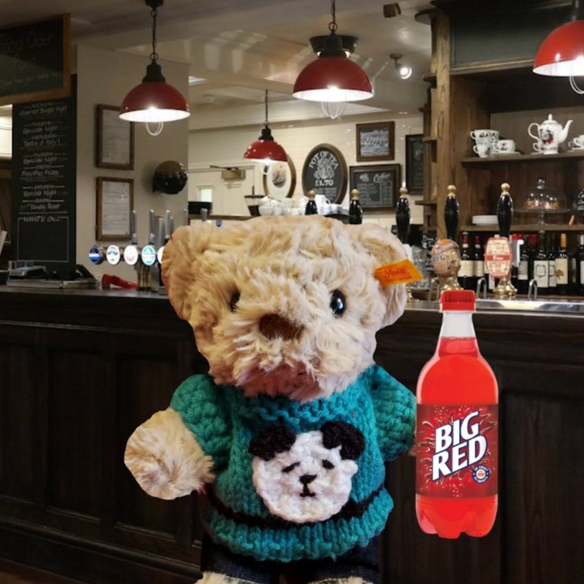 🐻 Howie Steiff 🐻 tweet media