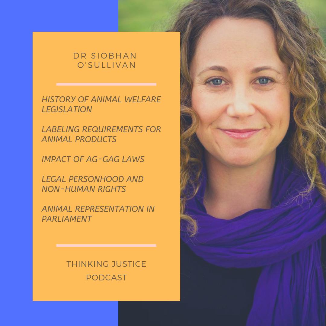 BeyondLawReform's tweet photo. Episode 3! With @animaljusticeAU recently elected, Dr Siobhan O’Sullivan from @Knowing_Animals discusses legal personhood for animals, ‘ag-gag’ laws preventing whistle-blowers from exposing cruelty, and inconsistent definitions in labelling of ‘free range’ eggs. #thinkingjustice https://t.co/fE2gys7xa7