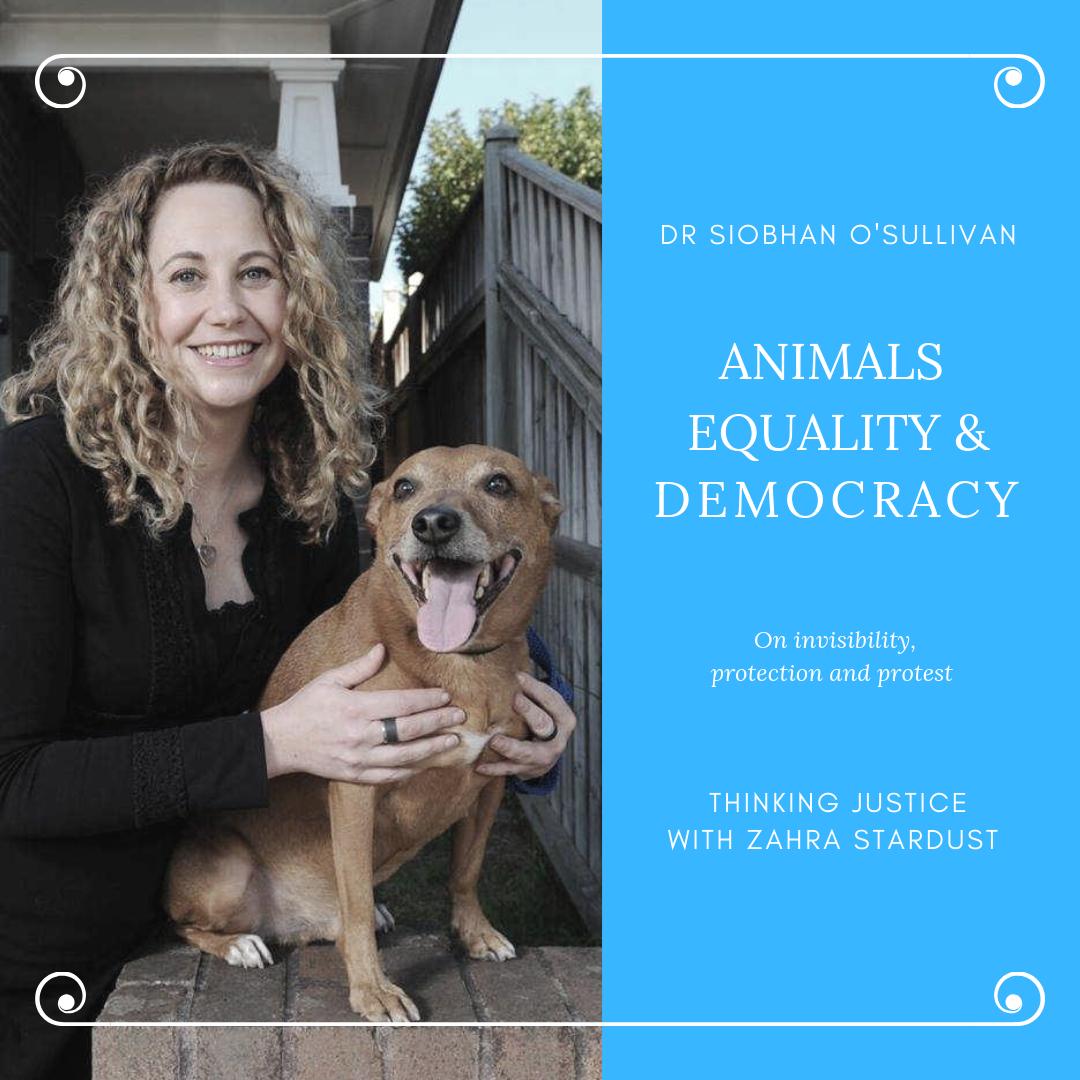 BeyondLawReform's tweet photo. Episode 3! With @animaljusticeAU recently elected, Dr Siobhan O’Sullivan from @Knowing_Animals discusses legal personhood for animals, ‘ag-gag’ laws preventing whistle-blowers from exposing cruelty, and inconsistent definitions in labelling of ‘free range’ eggs. #thinkingjustice https://t.co/fE2gys7xa7