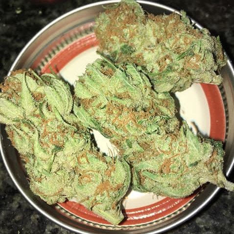 vape420official's tweet photo. Start you week with some beautiful OG kush. Contact +16284002724.
#1000mg #mjbizcon #kingpen710 #smartcartvape #stiizybaddies #co2extraction #thcextract #disposablevapepen #cbdpackaging #co2extracts #galaxyprerolls #heavyhitters #cerealcarts #weedmaps #riaa #stiiizy https://t.co/Oc0Vr6tNtQ