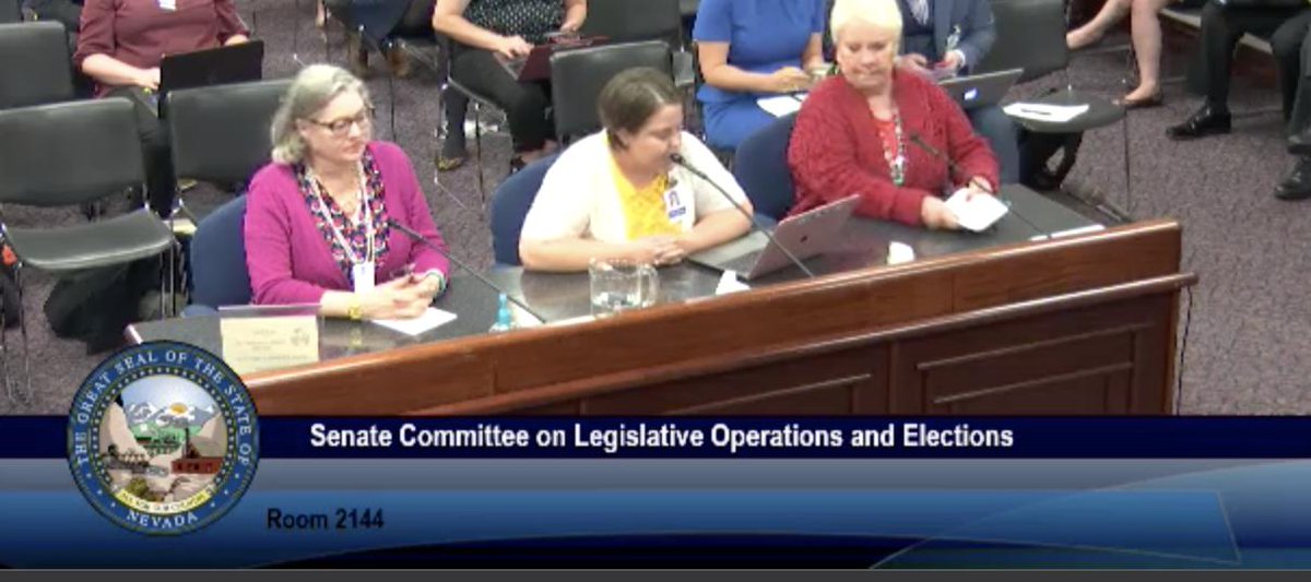 BattleBornProg's tweet photo. "We need a healthy Nevada and this study would guide us in that direction." @AnnetteMagnus supporting #SCR10 #nvleg https://t.co/OtuWV2eWaE