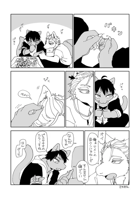 ピスタチオとサマとイチ 