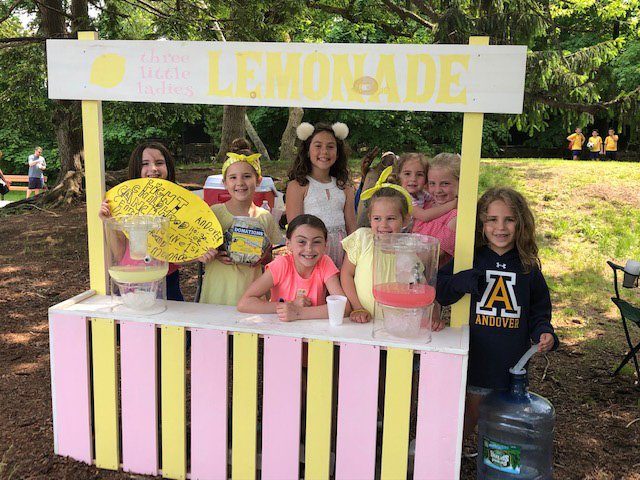 Alex's Lemonade Stand to benefit Childhood Cancer. Go South School!