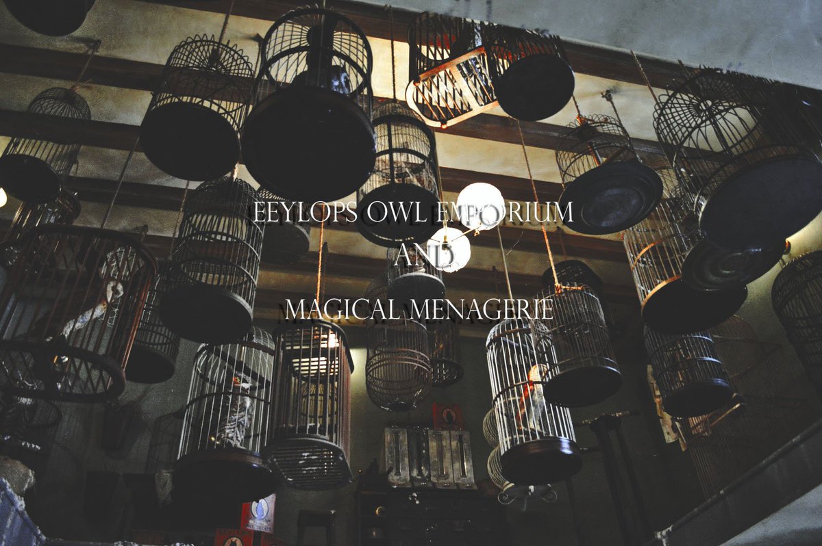 Owl Emporium and Magical Menagerie / Twitter