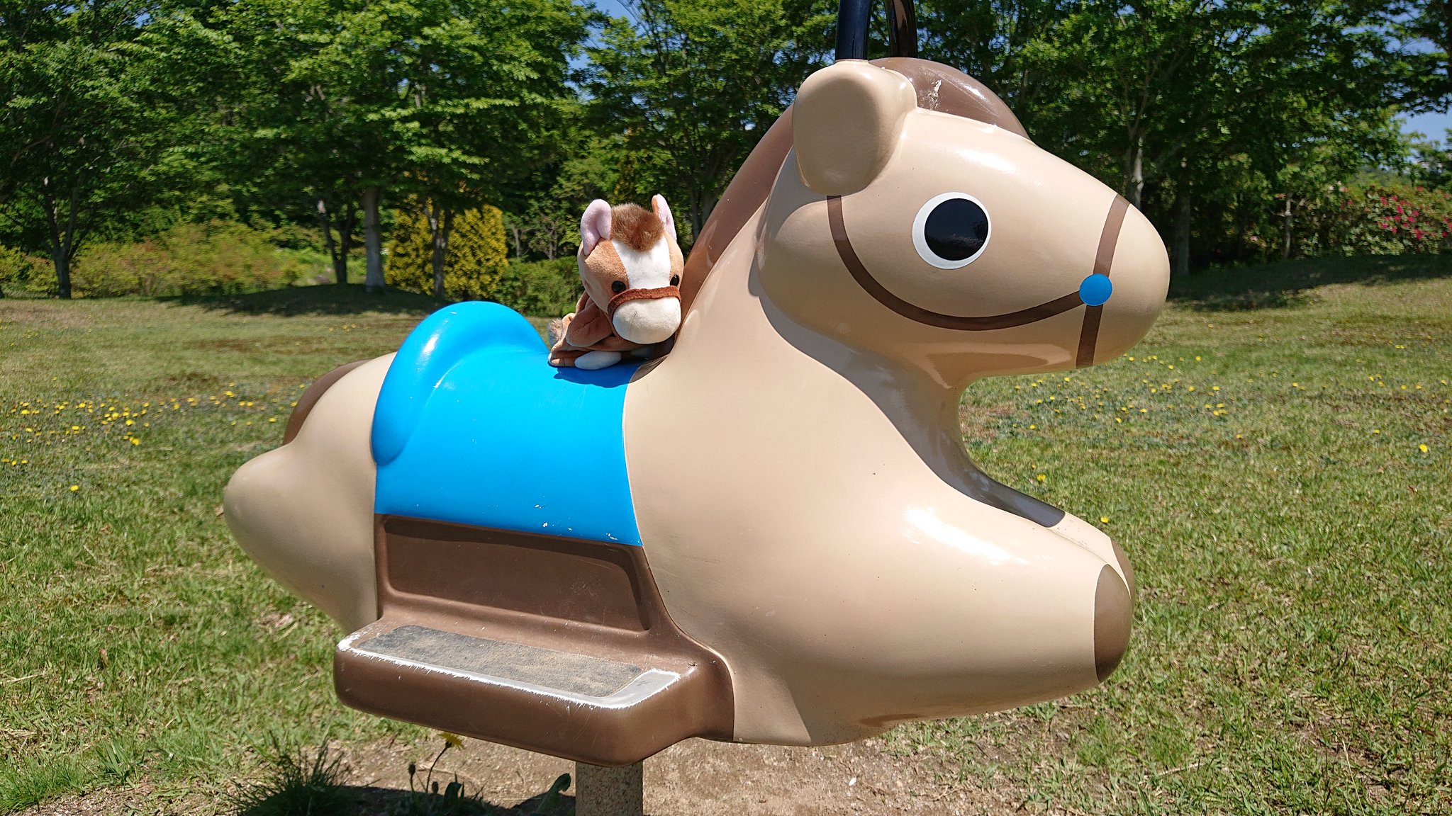 トサミドリ ババヲナラスクルマ 最終コーナーの攻防 盛岡競馬場 盛岡競馬 盛岡 ババヲナラスクルマ T Co Lcicftrtxb Twitter