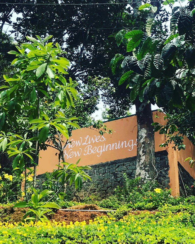 The land that we built After the Rains on gave us new life, we hope it does the same for every new guest too. #newlife . Not all resorts are the same, book your next stay on the link in bio 👆 #forestconservation #wayanad #biosphere #wildlifesanctuary #westernghatsofindia