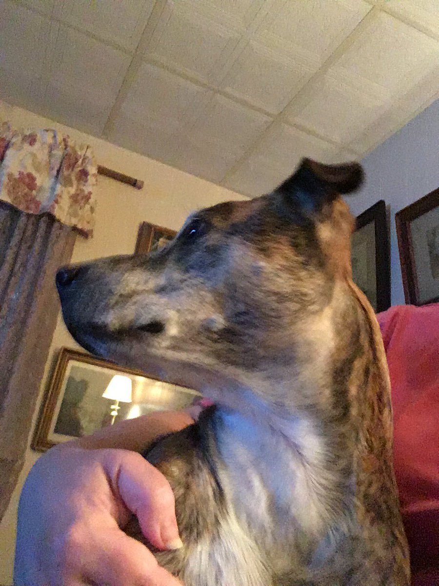 SouthJerseyGurl's tweet image. My #ThunderBuddy ❤️