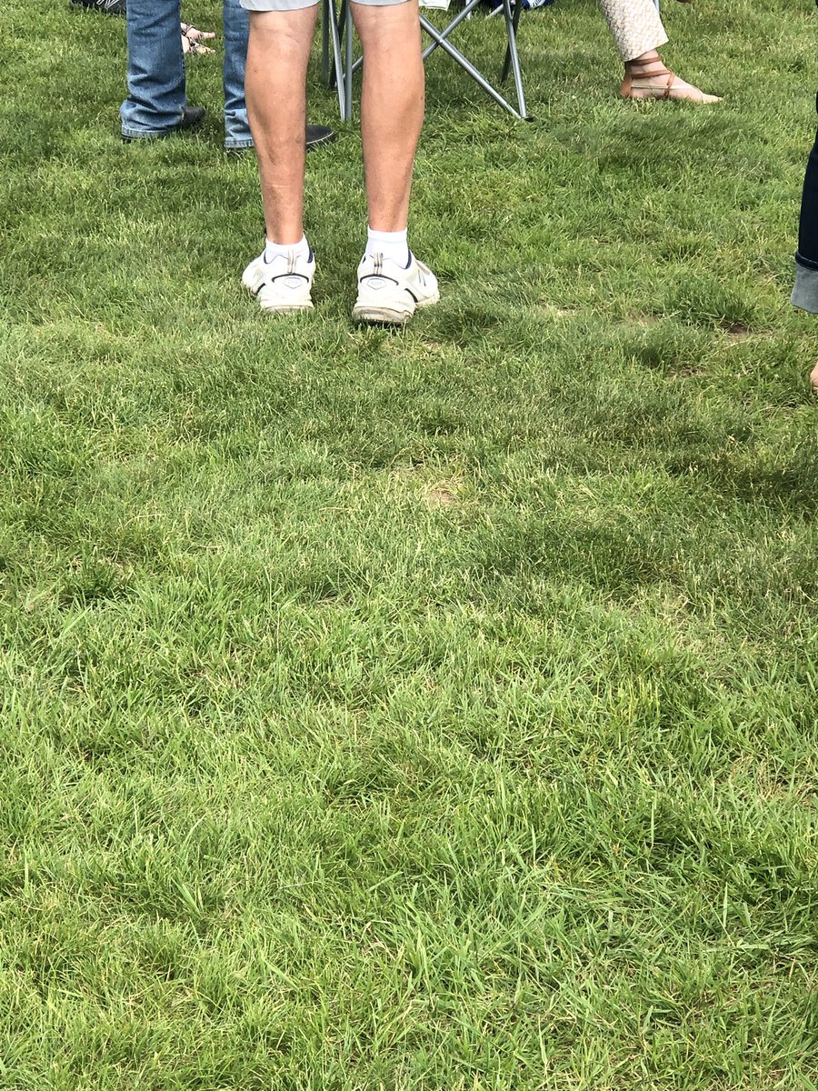DadShoes2's tweet photo. Some #DadShoes + #DadCalves all at once. https://t.co/gq3aXSeUs0