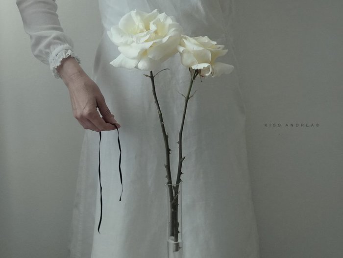 ArtsEtEmotions's tweet image. ©Andrea Kiss 🌹